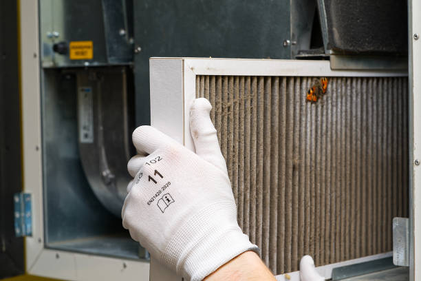 Best Professional Duct Cleaning Services  in Fox Chase, PA