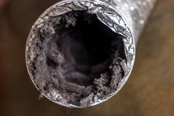 Best Air Duct Cleaning Company Near Me  in Fox Chase, PA