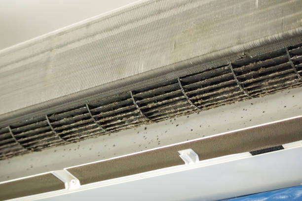 Best Commercial Air Duct Cleaning  in Fox Chase, PA