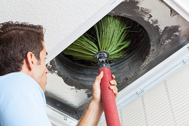 Best Dryer Vent Cleaning Services  in Fox Chase, PA